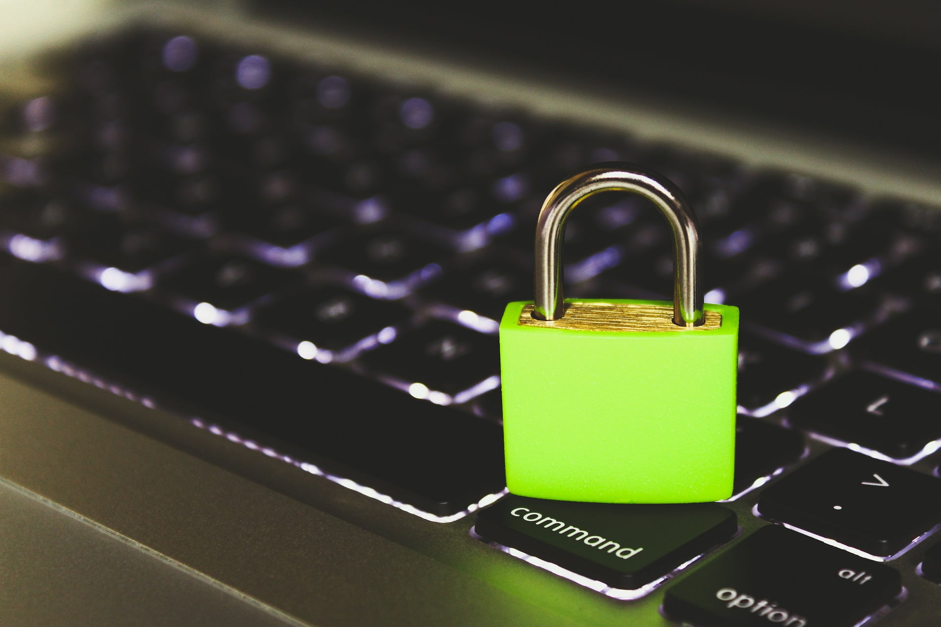 cyber-4511128_1920.jpg